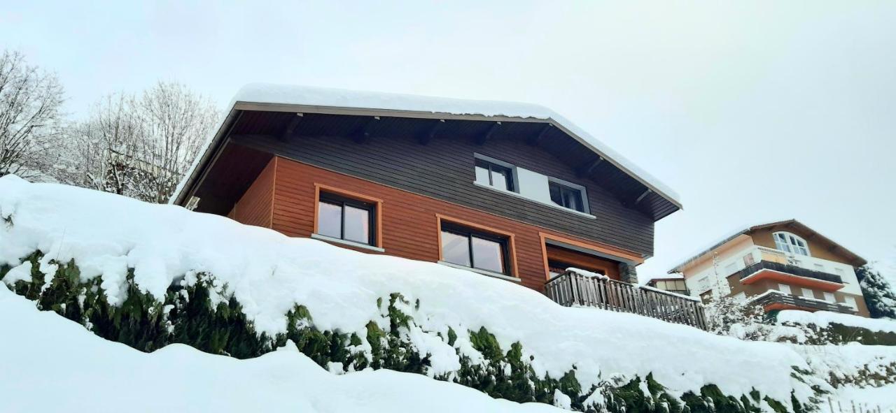 Chalet Les Trois Vallees Βίλα La Bresse Εξωτερικό φωτογραφία